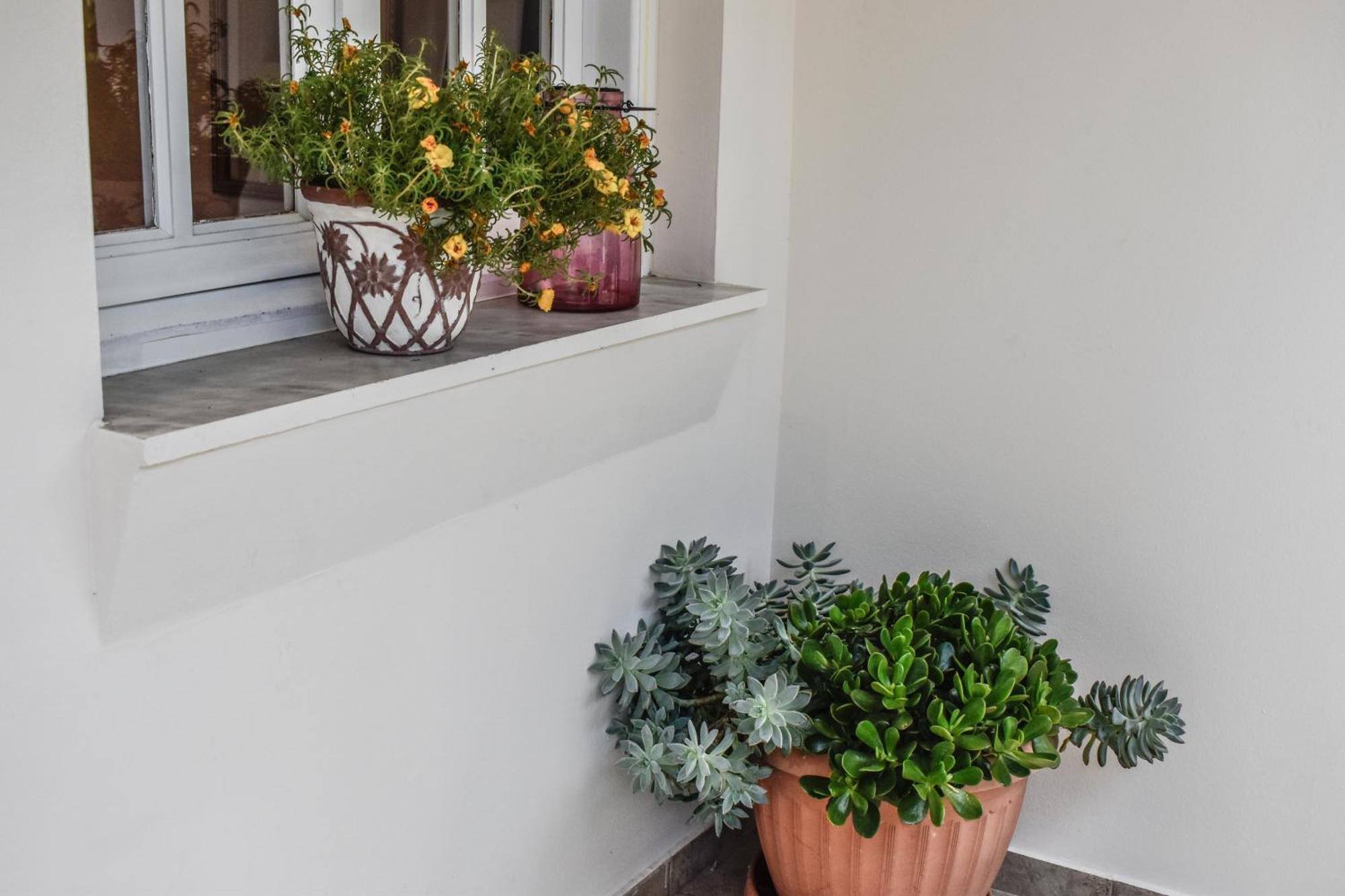 Apartmán Hidden Garden Deluxe *