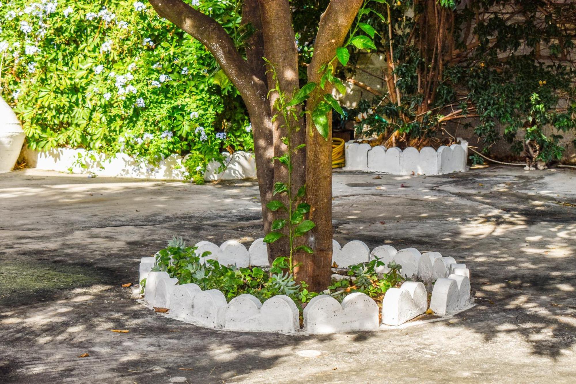Hidden Garden Deluxe דירה